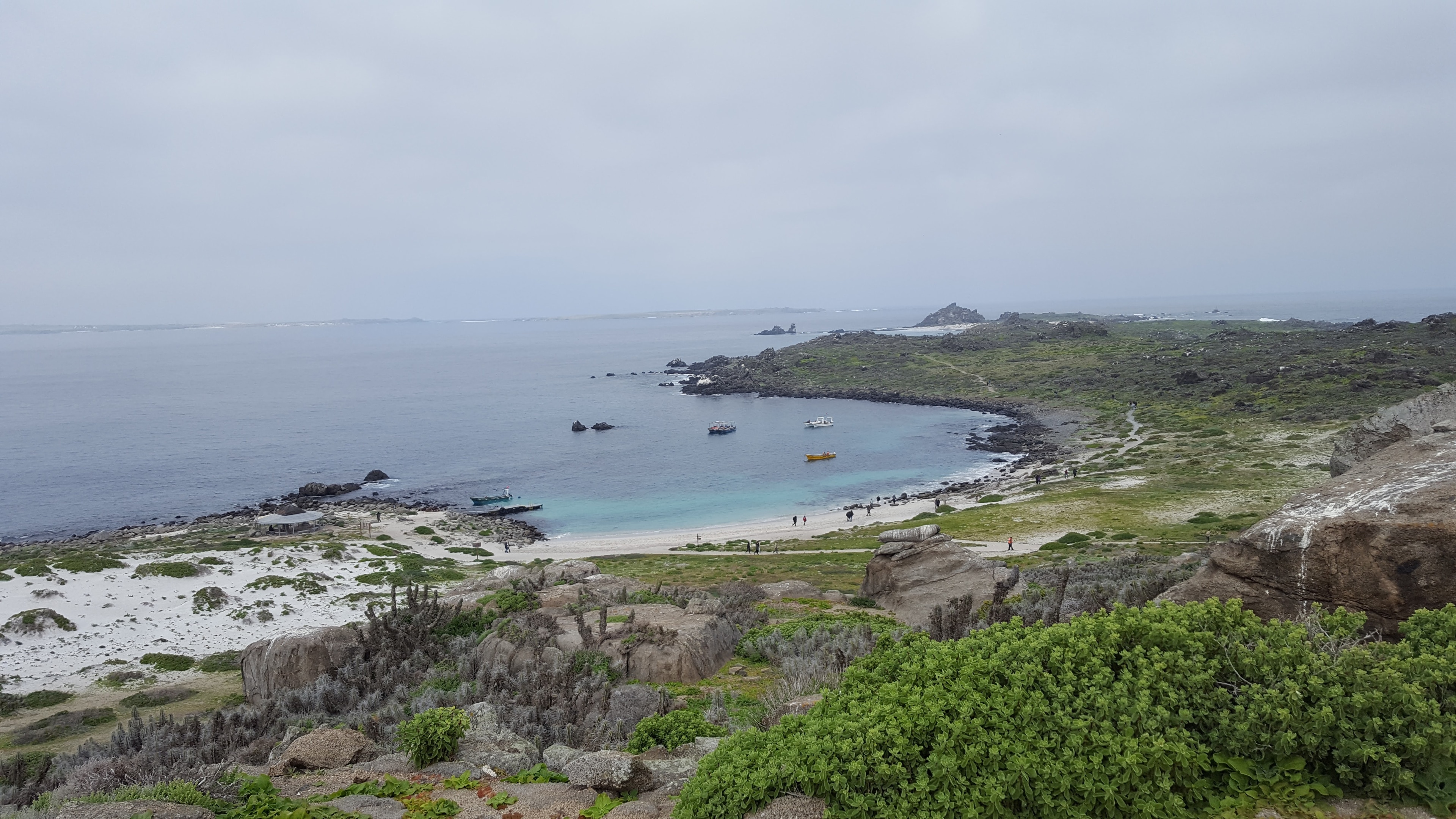 https://mdw-travel-data-us-east-1.s3.amazonaws.com/img/country/Chile/Los-Choros/img_01.jpg