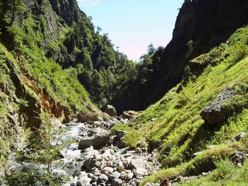 https://mdw-travel-data-us-east-1.s3.amazonaws.com/img/country/Chile/Melipeuco/img_03.jpg