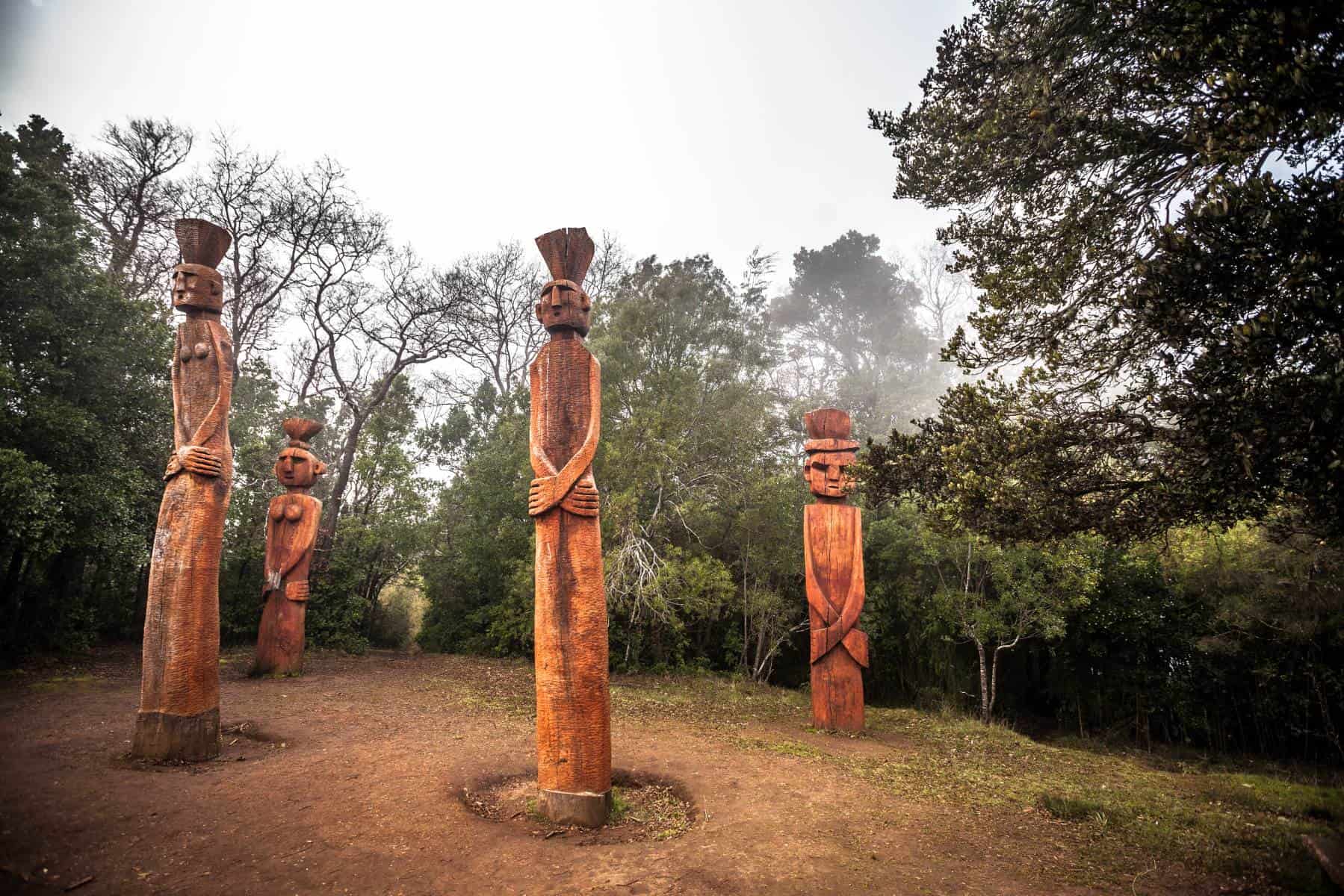 https://mdw-travel-data-us-east-1.s3.amazonaws.com/img/country/Chile/Monumento-Natural-Cerro-Nielol/img_00.jpg