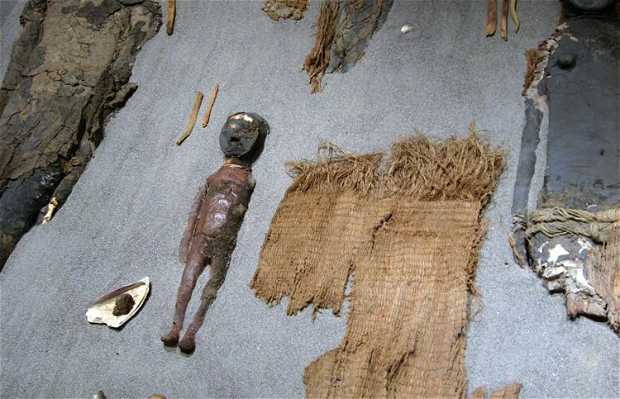 https://mdw-travel-data-us-east-1.s3.amazonaws.com/img/country/Chile/Museo-Arqueologico-San-Miguel-de-Azapa/img_00.jpg