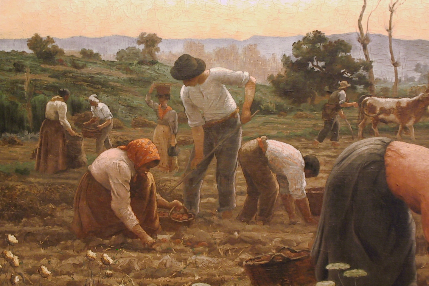 https://mdw-travel-data-us-east-1.s3.amazonaws.com/img/country/Chile/Museo-OHigginiano-y-de-Bellas-Artes-de-Talca/img_01.jpg