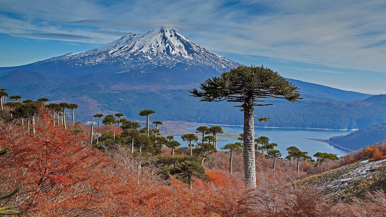 https://mdw-travel-data-us-east-1.s3.amazonaws.com/img/country/Chile/National-Park-Conguillio/img_03.jpg