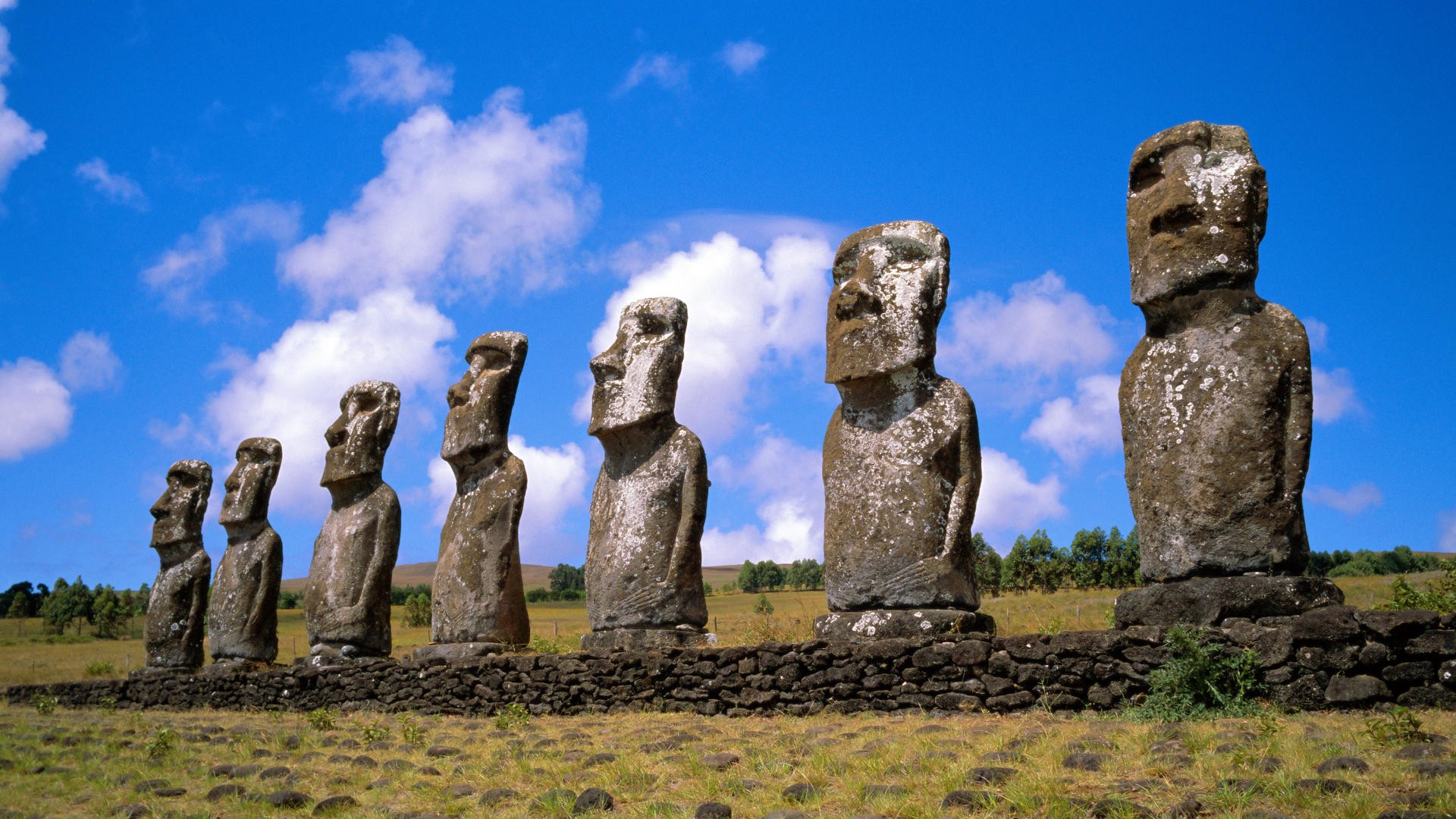 https://mdw-travel-data-us-east-1.s3.amazonaws.com/img/country/Chile/Nirrehue/img_02.jpg
