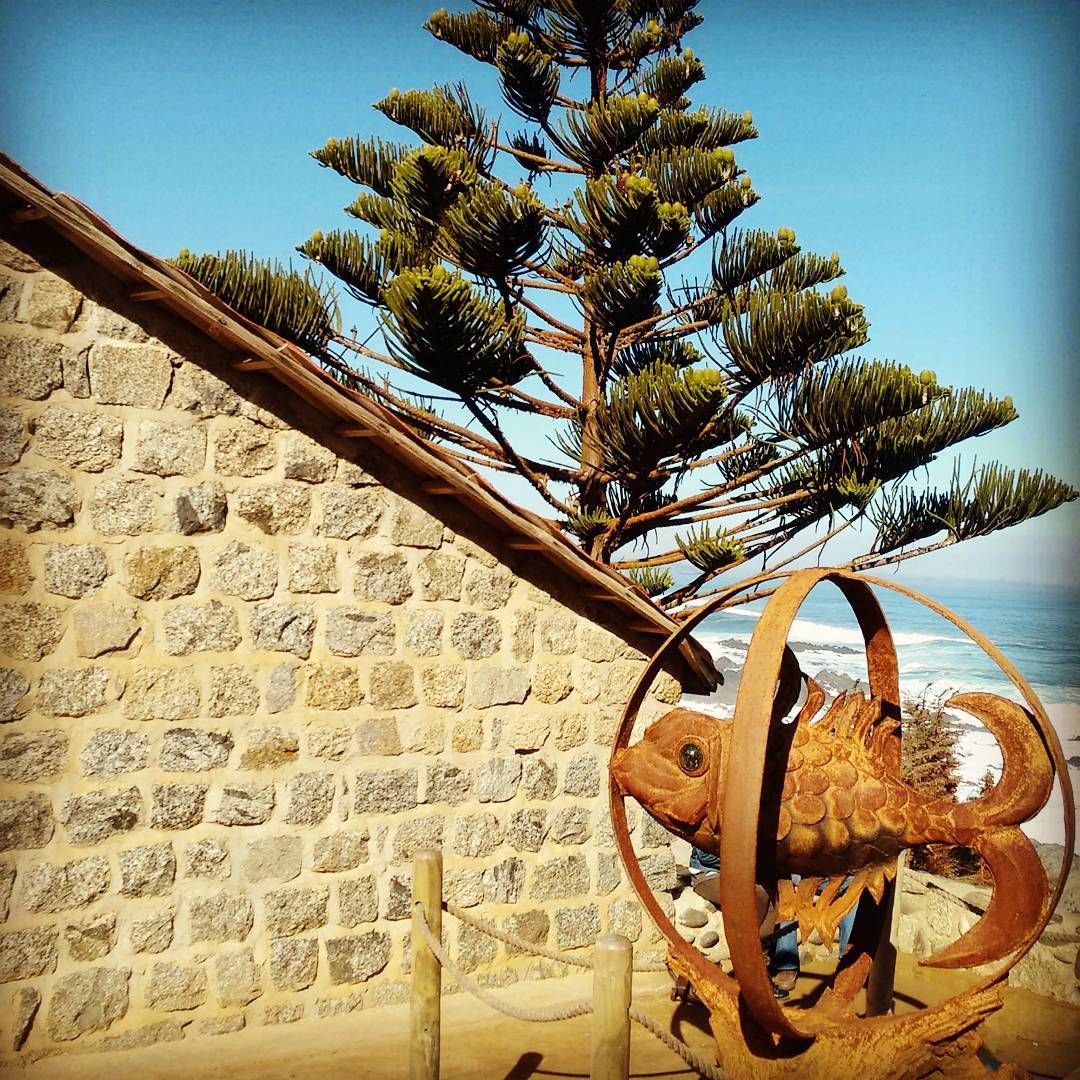 https://mdw-travel-data-us-east-1.s3.amazonaws.com/img/country/Chile/Pablo-Nerudas-House-in-Isla-Negra/img_03.jpg