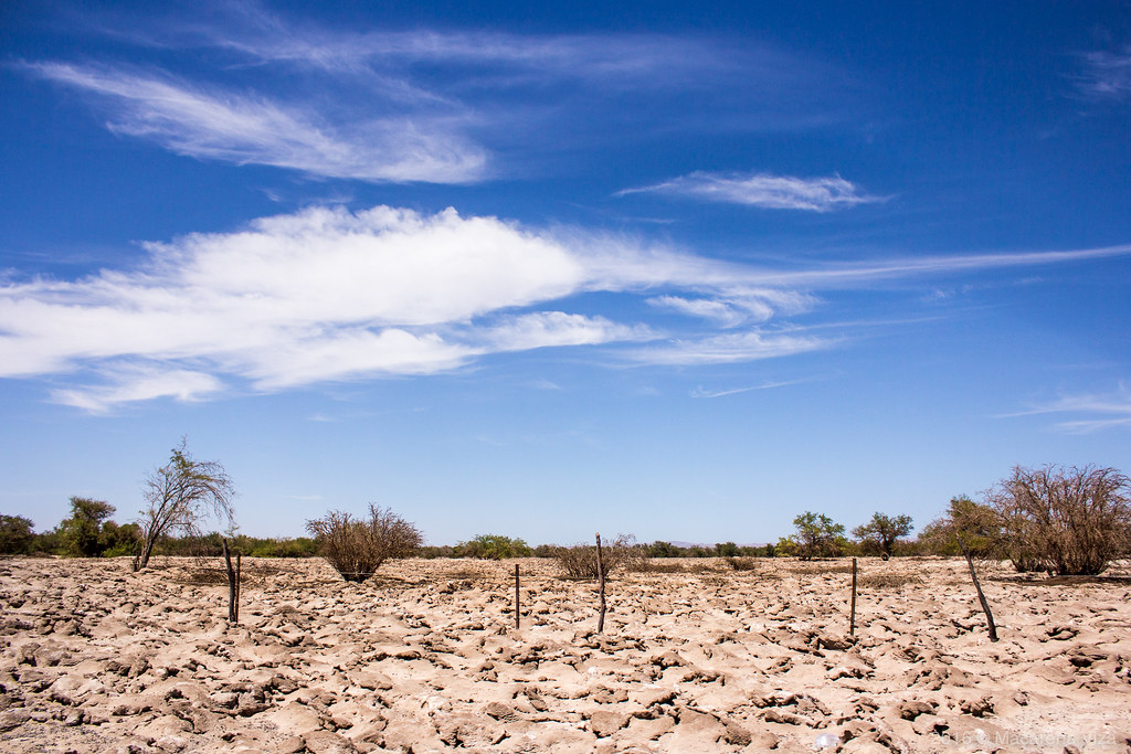 https://mdw-travel-data-us-east-1.s3.amazonaws.com/img/country/Chile/Pampa-del-Tamarugal-National-Reserve/img_01.jpg