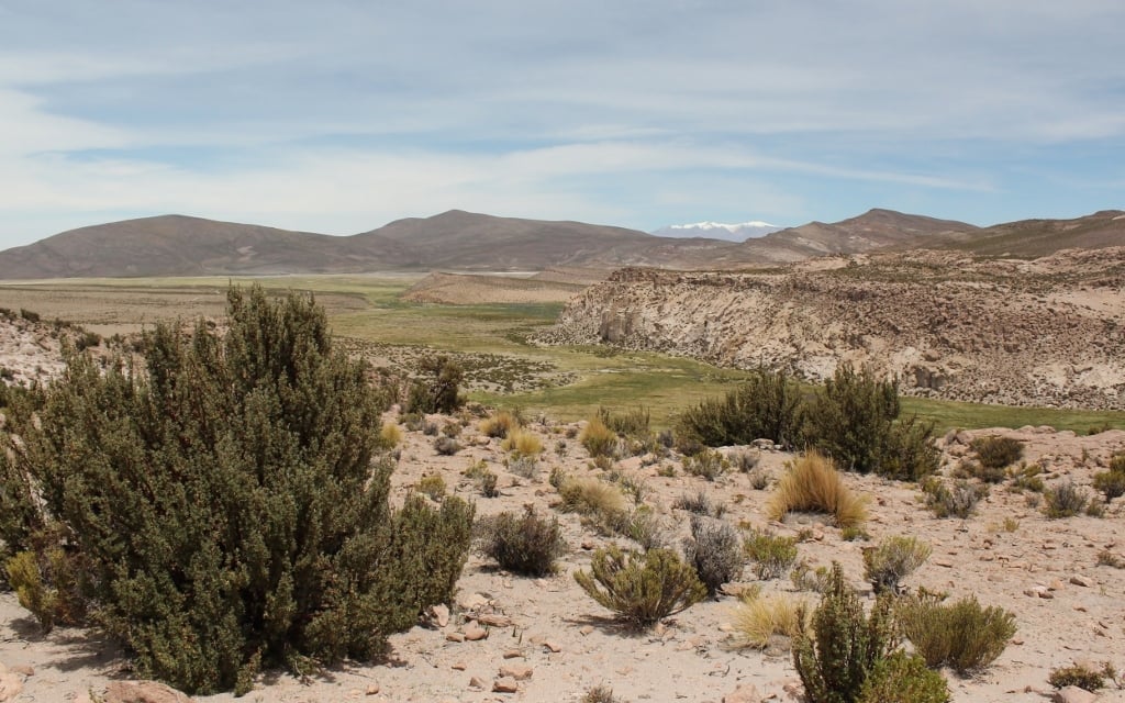 https://mdw-travel-data-us-east-1.s3.amazonaws.com/img/country/Chile/Pampa-del-Tamarugal-National-Reserve/img_02.jpg