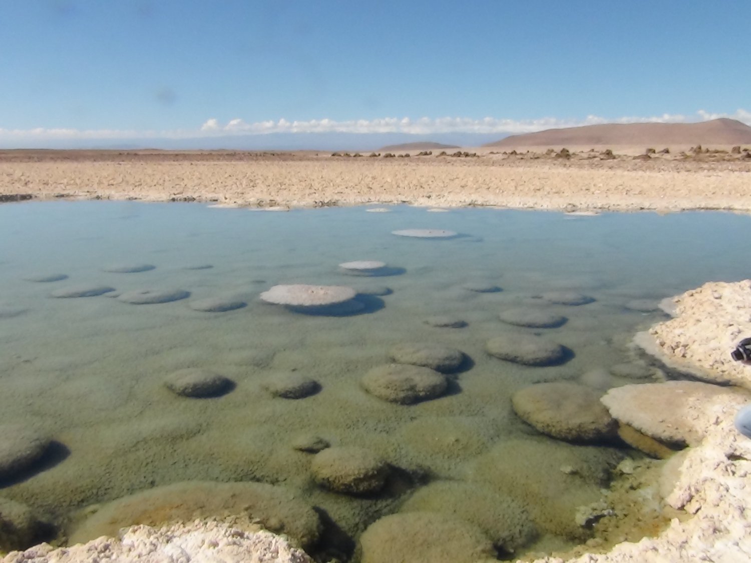 https://mdw-travel-data-us-east-1.s3.amazonaws.com/img/country/Chile/Pampa-del-Tamarugal-National-Reserve/img_03.jpg