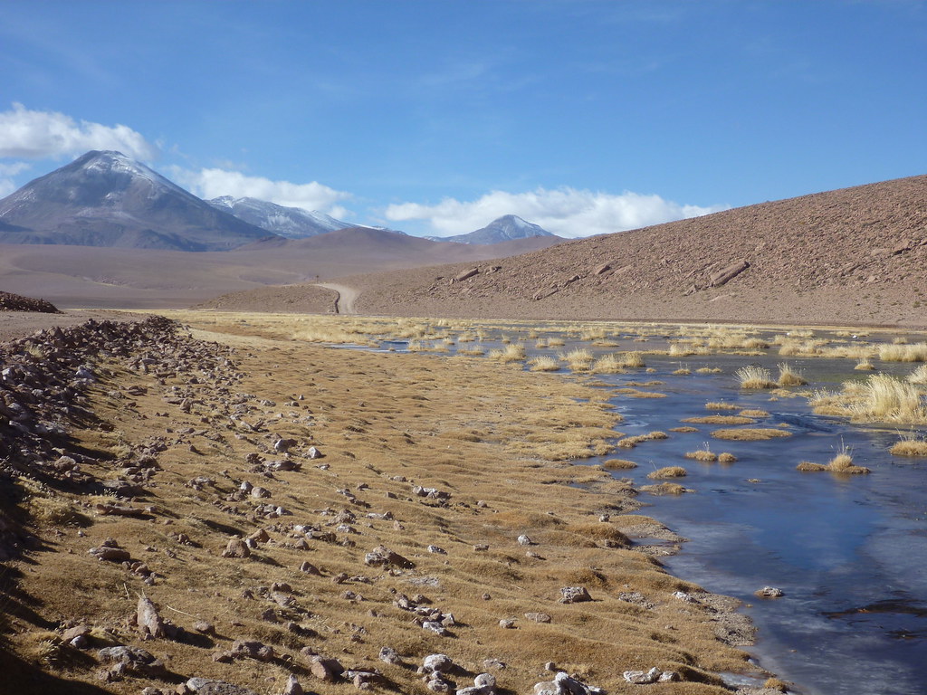 https://mdw-travel-data-us-east-1.s3.amazonaws.com/img/country/Chile/Pantanos-de-Putana/img_02.jpg