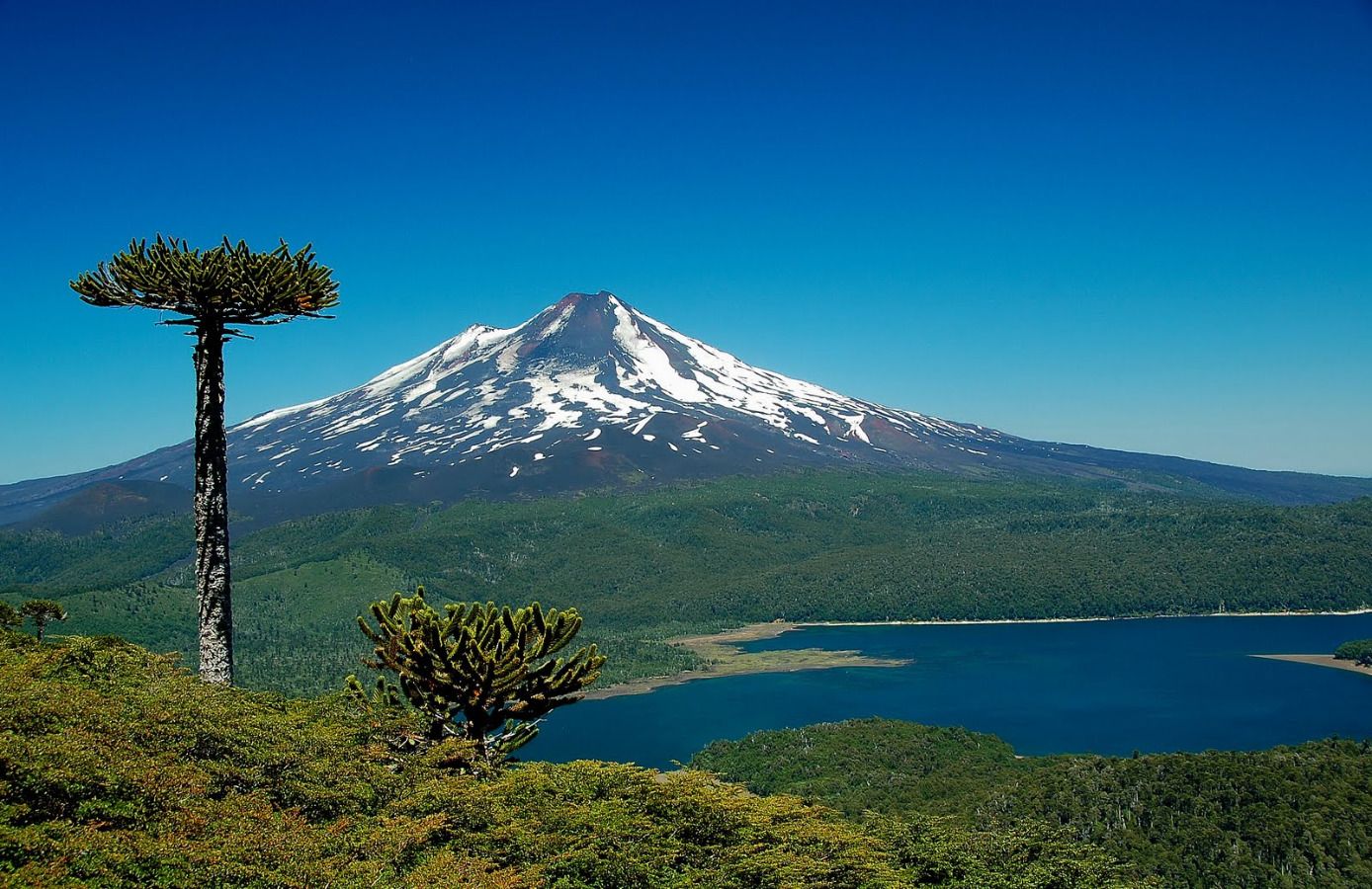 https://mdw-travel-data-us-east-1.s3.amazonaws.com/img/country/Chile/Parque-Nacional-Conguillio/img_00.jpg