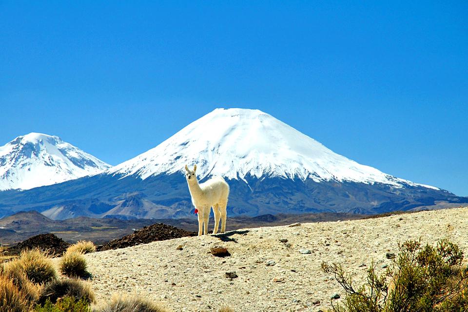 https://mdw-travel-data-us-east-1.s3.amazonaws.com/img/country/Chile/Parque-Nacional-Lauca/img_02.jpg