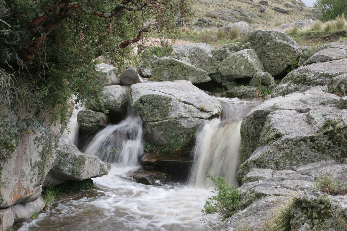 https://mdw-travel-data-us-east-1.s3.amazonaws.com/img/country/Chile/Parque-Nacional-Quebrada-del-Condorito/img_01.jpg