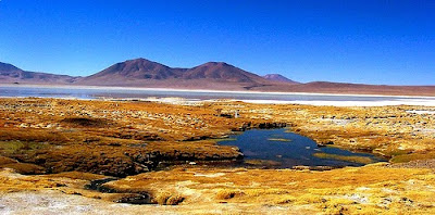 https://mdw-travel-data-us-east-1.s3.amazonaws.com/img/country/Chile/Parque-Nacional-Salar-del-Huasco/img_01.jpg