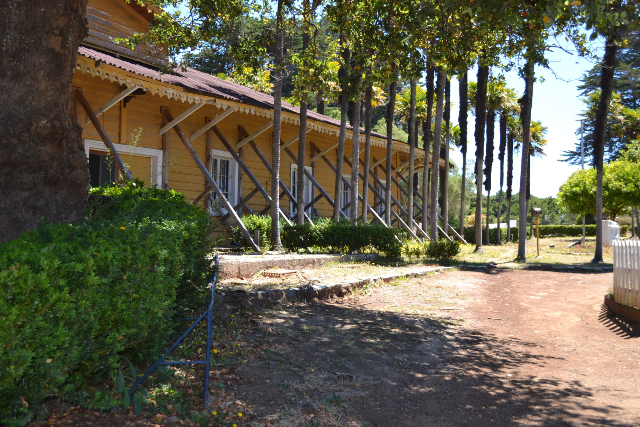 https://mdw-travel-data-us-east-1.s3.amazonaws.com/img/country/Chile/Parque-Pedro-del-Rio-Zanartu/img_02.jpg
