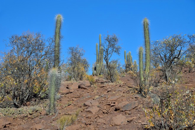 https://mdw-travel-data-us-east-1.s3.amazonaws.com/img/country/Chile/Pichasca-National-Reserve/img_03.jpg