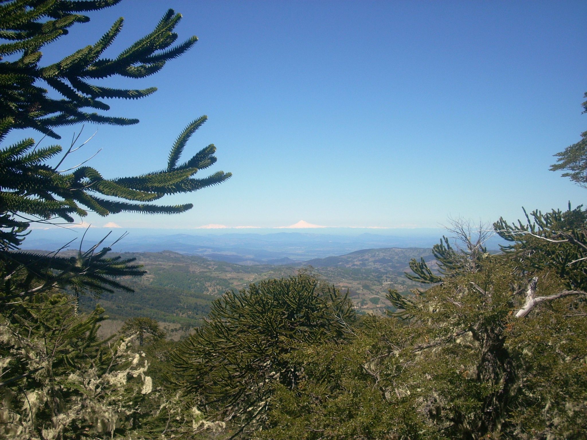 https://mdw-travel-data-us-east-1.s3.amazonaws.com/img/country/Chile/Piedra-del-Aguila/img_01.jpg