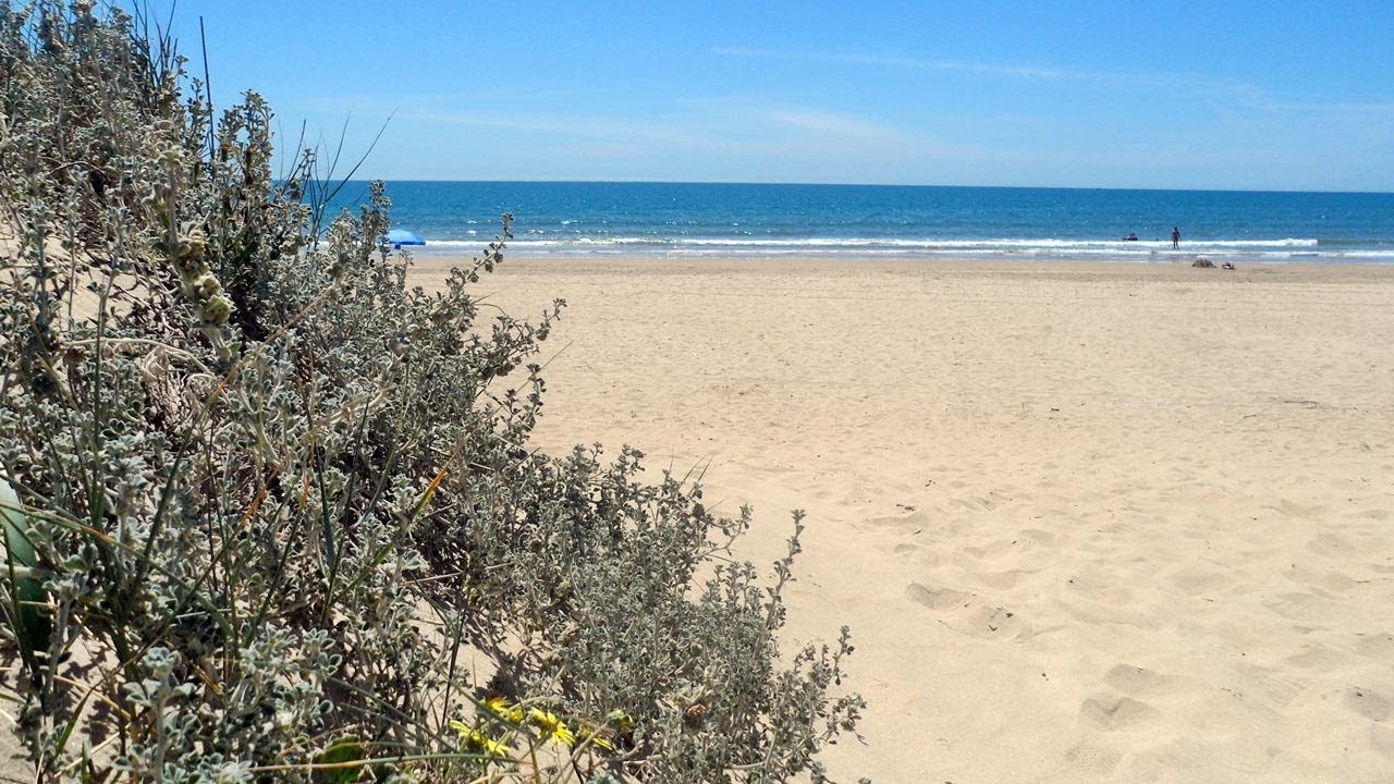 https://mdw-travel-data-us-east-1.s3.amazonaws.com/img/country/Chile/Playa-La-Bota/img_01.jpg
