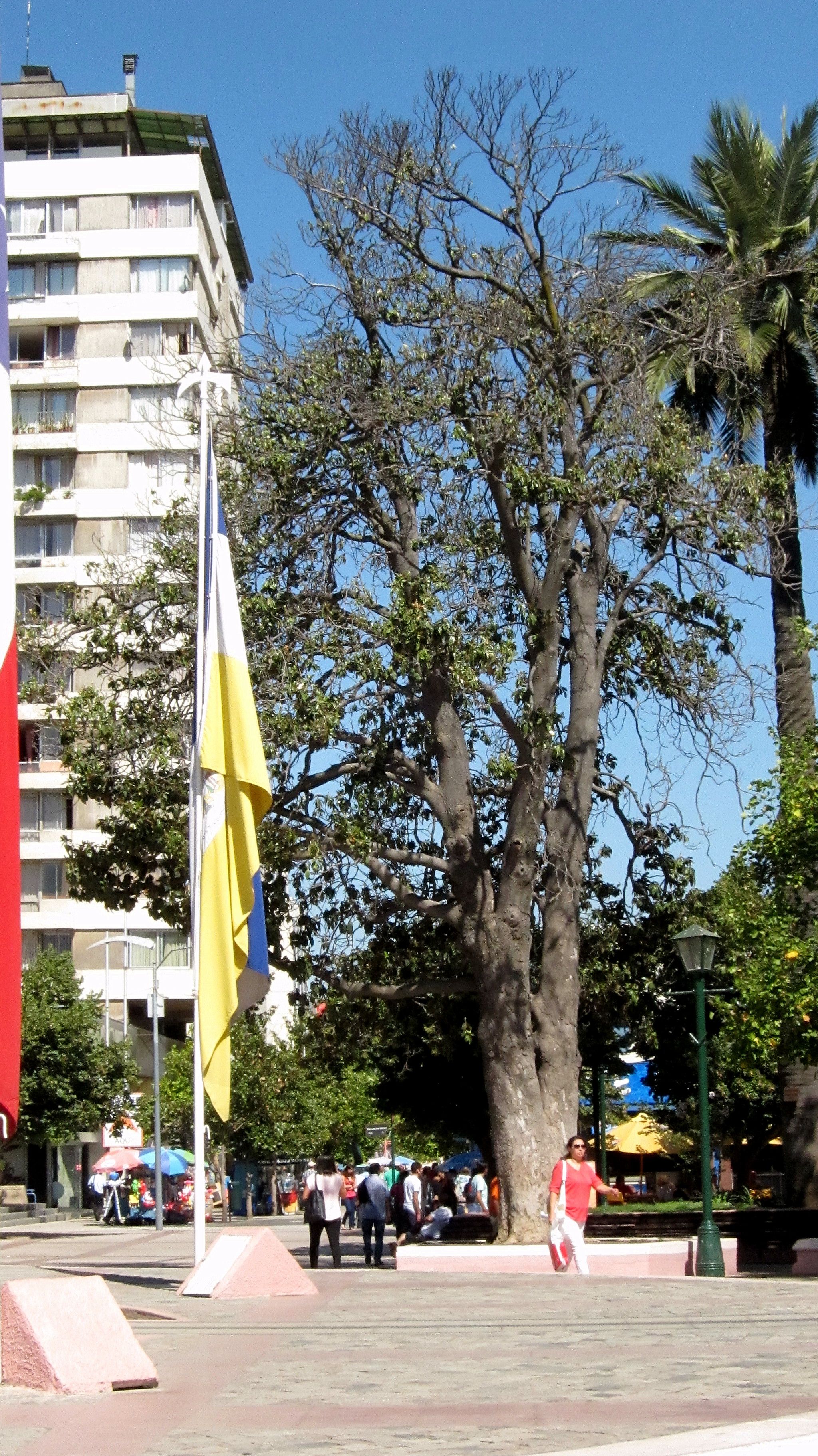 https://mdw-travel-data-us-east-1.s3.amazonaws.com/img/country/Chile/Plaza-Los-Heroes/img_03.jpg