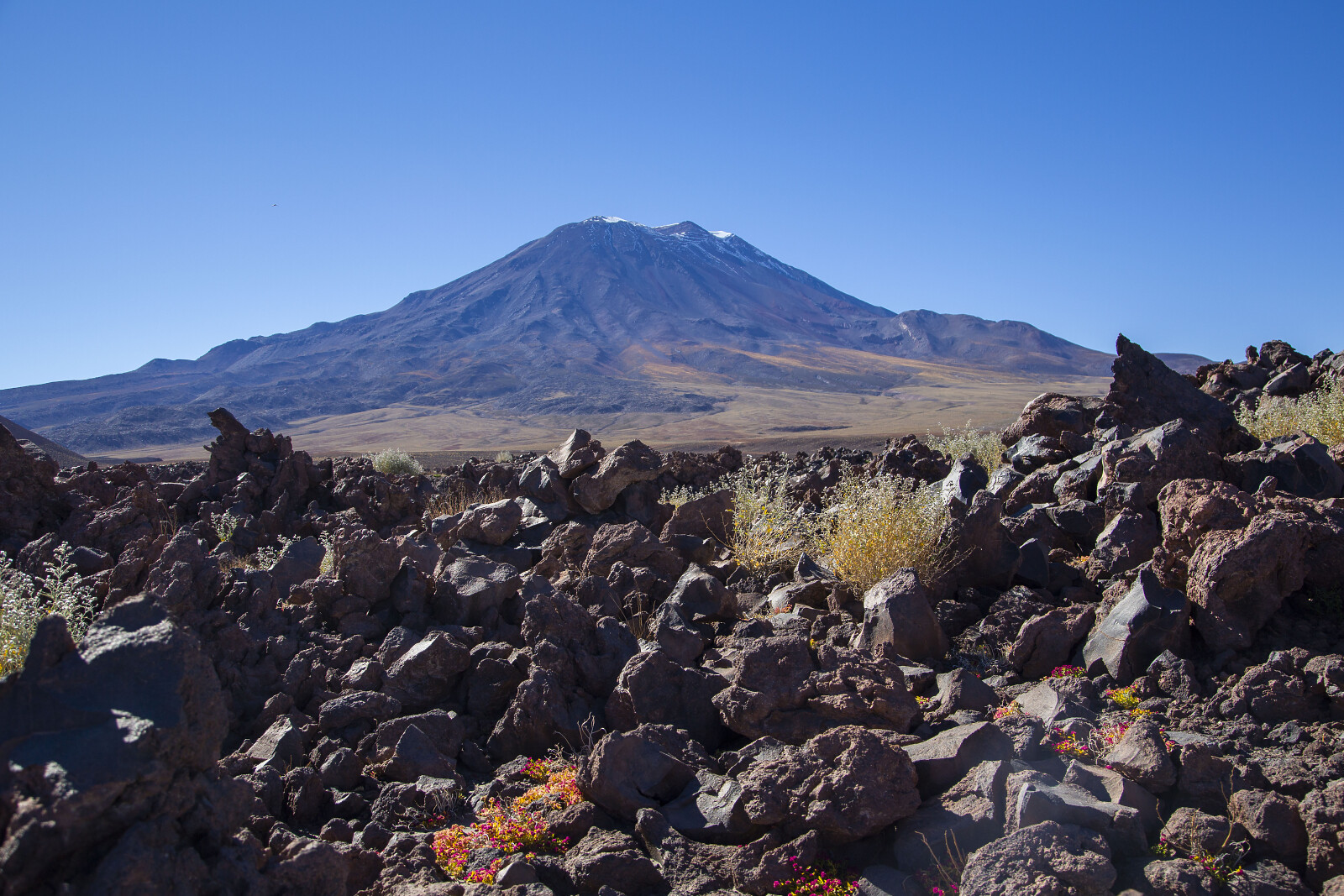https://mdw-travel-data-us-east-1.s3.amazonaws.com/img/country/Chile/Puerto-San-Pedro/img_02.jpg
