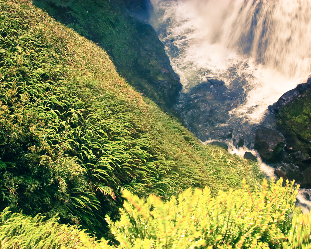 https://mdw-travel-data-us-east-1.s3.amazonaws.com/img/country/Chile/Pumalin-Park/img_03.jpg