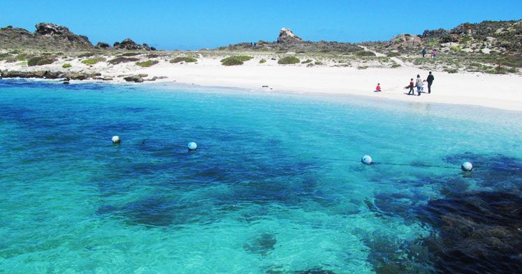 https://mdw-travel-data-us-east-1.s3.amazonaws.com/img/country/Chile/Punta-de-Choros/img_00.jpg