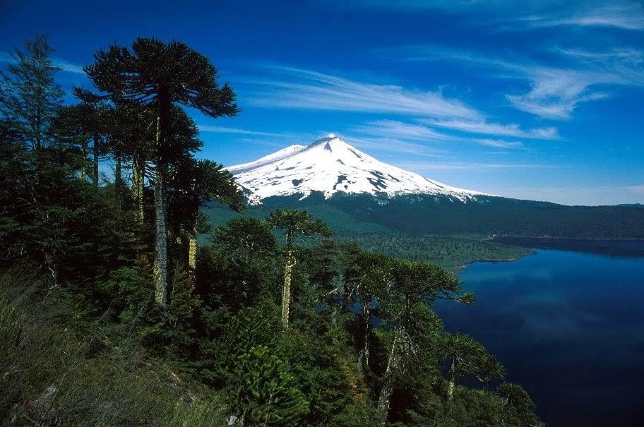 https://mdw-travel-data-us-east-1.s3.amazonaws.com/img/country/Chile/Puyehue-National-Park/img_02.jpg