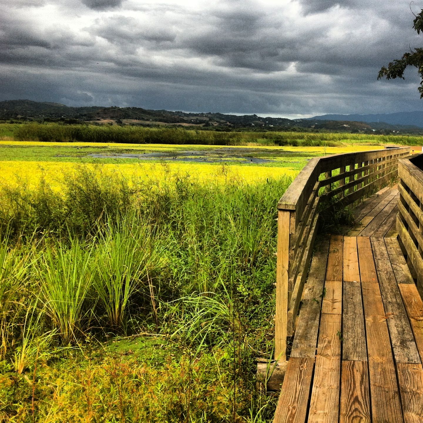 https://mdw-travel-data-us-east-1.s3.amazonaws.com/img/country/Chile/Refugio-de-Vida-Silvestre-Lagunas-de-Cotacotani/img_00.jpg