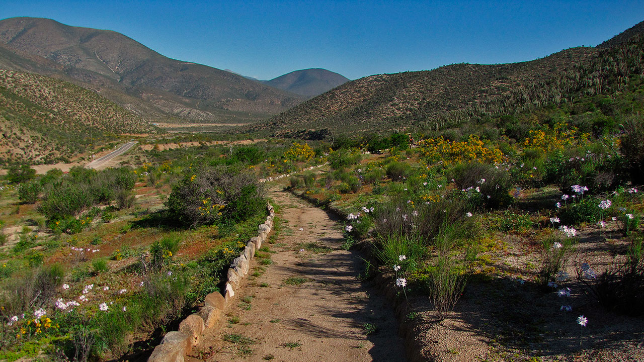 https://mdw-travel-data-us-east-1.s3.amazonaws.com/img/country/Chile/Reserva-Nacional-Las-Chinchillas/img_02.jpg