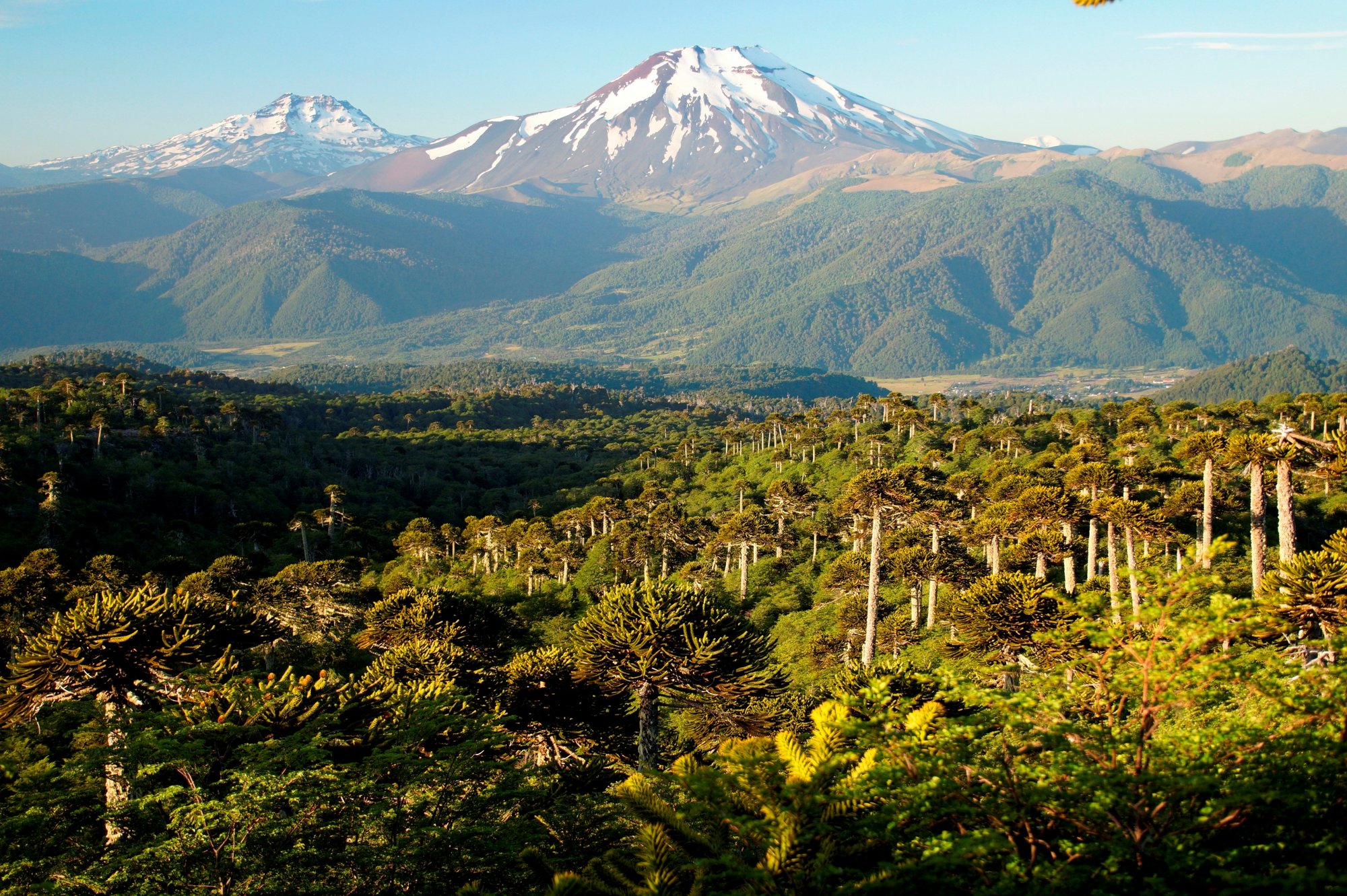 https://mdw-travel-data-us-east-1.s3.amazonaws.com/img/country/Chile/Reserva-Nacional-Malalcahuello-Nalcas/img_00.jpg