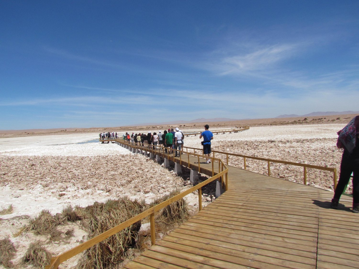 https://mdw-travel-data-us-east-1.s3.amazonaws.com/img/country/Chile/Reserva-Nacional-Pampa-del-Tamarugal/img_02.jpg