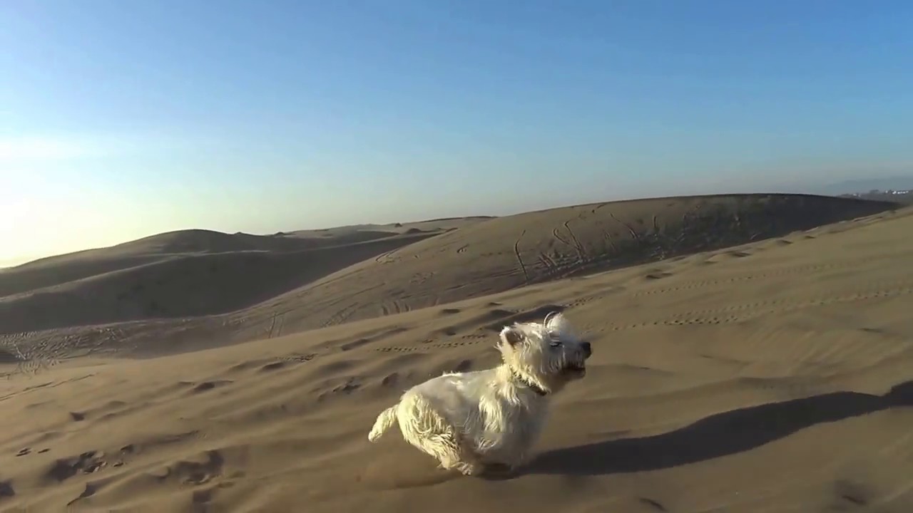 https://mdw-travel-data-us-east-1.s3.amazonaws.com/img/country/Chile/Ritoque-Dunes/img_02.jpg