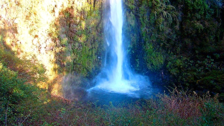 https://mdw-travel-data-us-east-1.s3.amazonaws.com/img/country/Chile/Salto-El-Leon/img_02.jpg