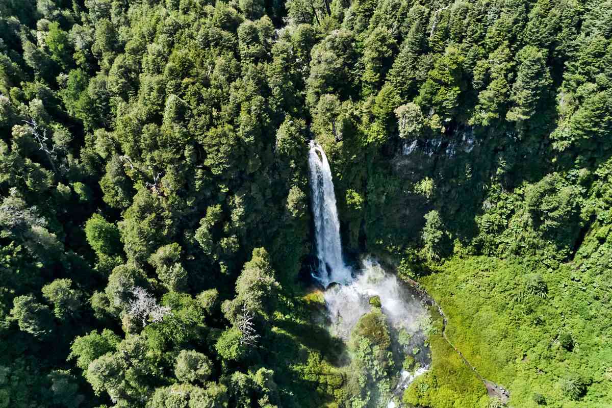 https://mdw-travel-data-us-east-1.s3.amazonaws.com/img/country/Chile/Salto-El-Leon/img_03.jpg