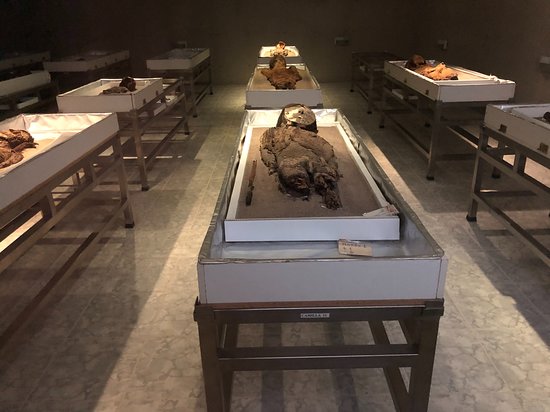https://mdw-travel-data-us-east-1.s3.amazonaws.com/img/country/Chile/San-Miguel-de-Azapa-Archaeological-Museum/img_02.jpg