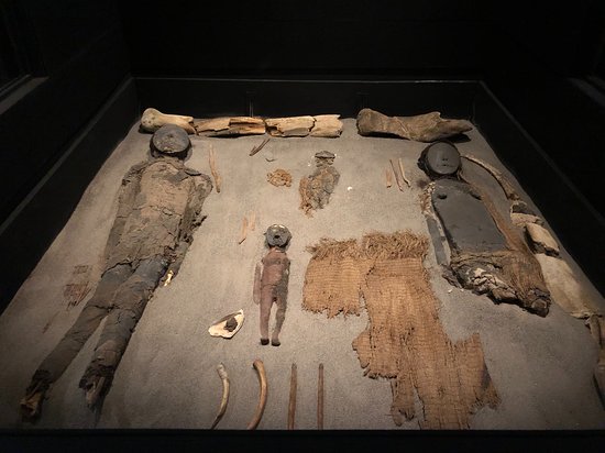 https://mdw-travel-data-us-east-1.s3.amazonaws.com/img/country/Chile/San-Miguel-de-Azapa-Archaeological-Museum/img_03.jpg