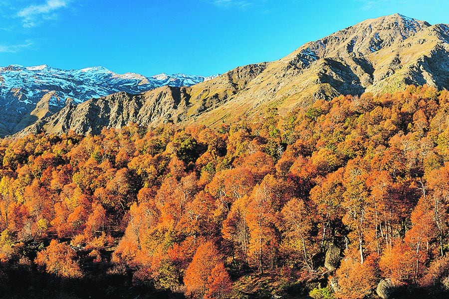 https://mdw-travel-data-us-east-1.s3.amazonaws.com/img/country/Chile/Santuario-de-la-Naturaleza-Alto-Huemul/img_01.jpg