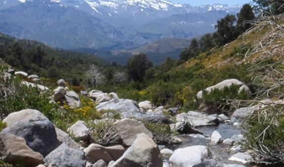 https://mdw-travel-data-us-east-1.s3.amazonaws.com/img/country/Chile/Santuario-de-la-Naturaleza-Alto-Huemul/img_03.jpg