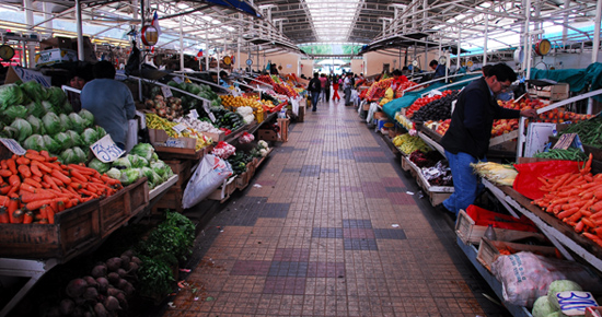https://mdw-travel-data-us-east-1.s3.amazonaws.com/img/country/Chile/Temuco-Municipal-Market/img_03.jpg