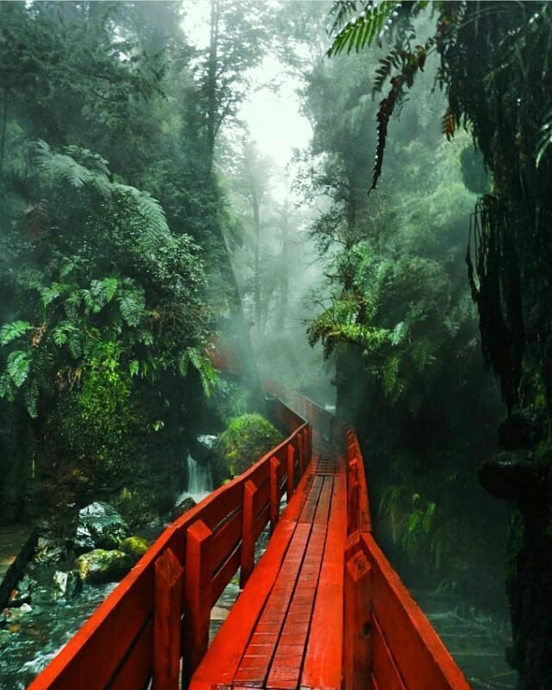 https://mdw-travel-data-us-east-1.s3.amazonaws.com/img/country/Chile/Termas-de-Cuncumen/img_02.jpg