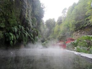 https://mdw-travel-data-us-east-1.s3.amazonaws.com/img/country/Chile/Termas-de-Los-Contin/img_01.jpg