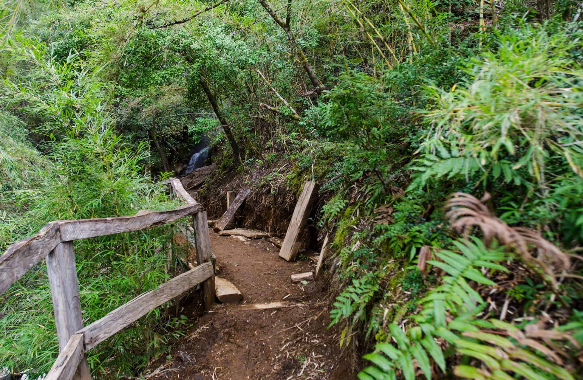 https://mdw-travel-data-us-east-1.s3.amazonaws.com/img/country/Chile/Termas-de-Quinahue/img_01.jpg