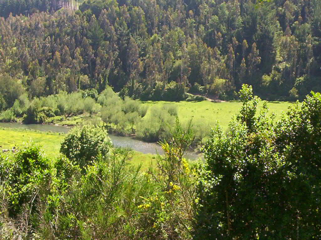 https://mdw-travel-data-us-east-1.s3.amazonaws.com/img/country/Chile/Tucapel/img_02.jpg