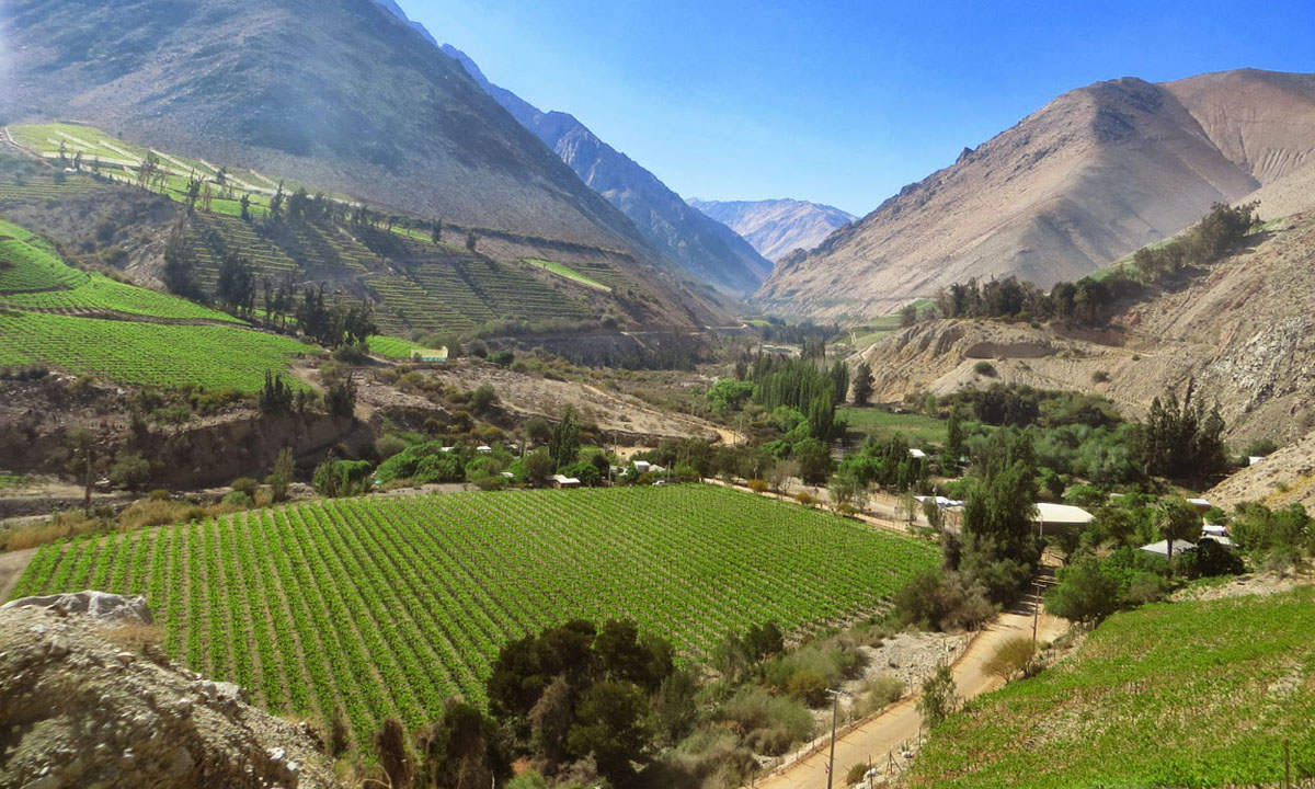 https://mdw-travel-data-us-east-1.s3.amazonaws.com/img/country/Chile/Valle-del-Elqui/img_01.jpg