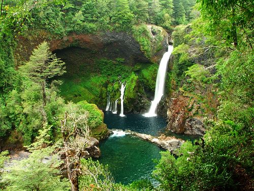https://mdw-travel-data-us-east-1.s3.amazonaws.com/img/country/Chile/Vietnamita-Huilquilemu/img_02.jpg
