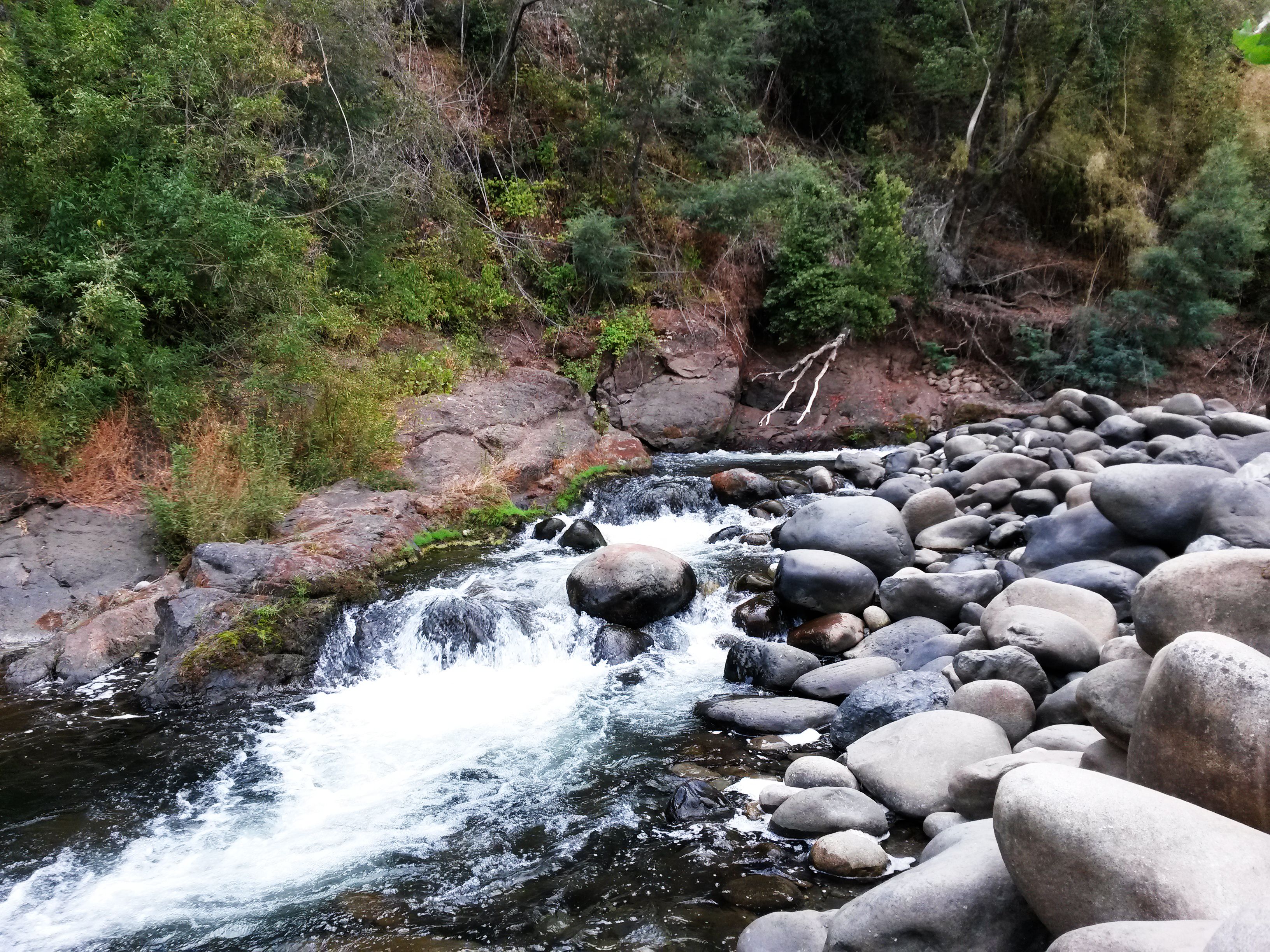 https://mdw-travel-data-us-east-1.s3.amazonaws.com/img/country/Chile/Vilches-National-Reserve/img_01.jpg