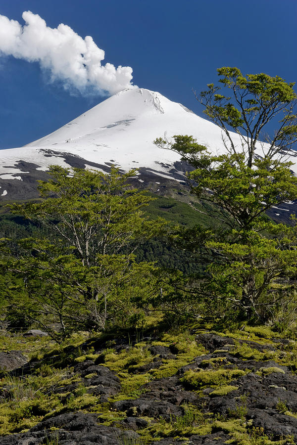 https://mdw-travel-data-us-east-1.s3.amazonaws.com/img/country/Chile/Villarrica-National-Park/img_02.jpg