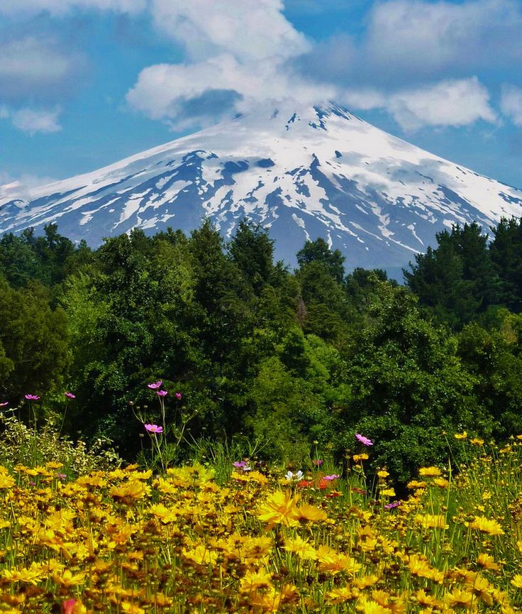 https://mdw-travel-data-us-east-1.s3.amazonaws.com/img/country/Chile/Villarrica/img_03.jpg