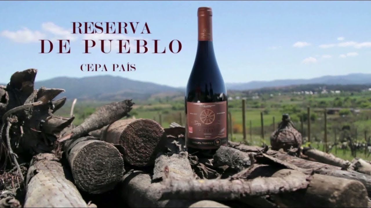 https://mdw-travel-data-us-east-1.s3.amazonaws.com/img/country/Chile/Vina-Miguel-Torres/img_01.jpg