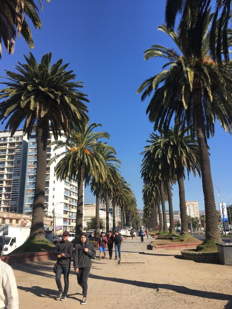 https://mdw-travel-data-us-east-1.s3.amazonaws.com/img/country/Chile/Vina-del-Mar/img_02.jpg