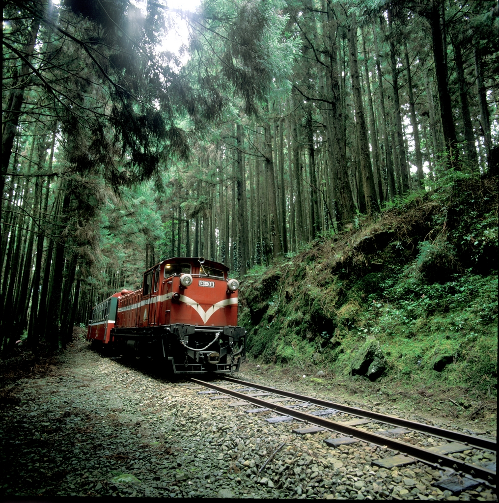 https://mdw-travel-data-us-east-1.s3.amazonaws.com/img/country/China/Alishan-National-Scenic-Area/img_02.jpg