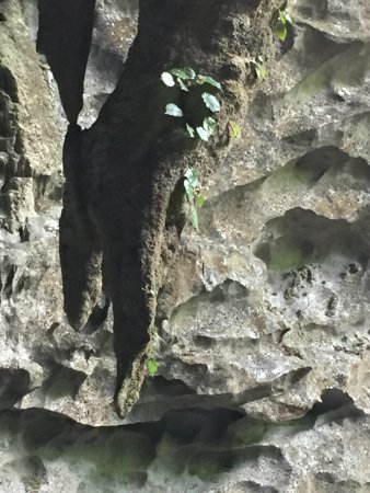 https://mdw-travel-data-us-east-1.s3.amazonaws.com/img/country/China/Baimo-Cave/img_01.jpg